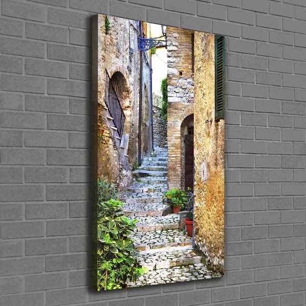 Quadro su tela canvas verticale Strade italiane