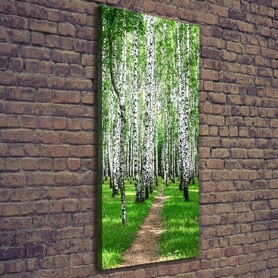 Quadro foto su tela verticale Foresta di betulle