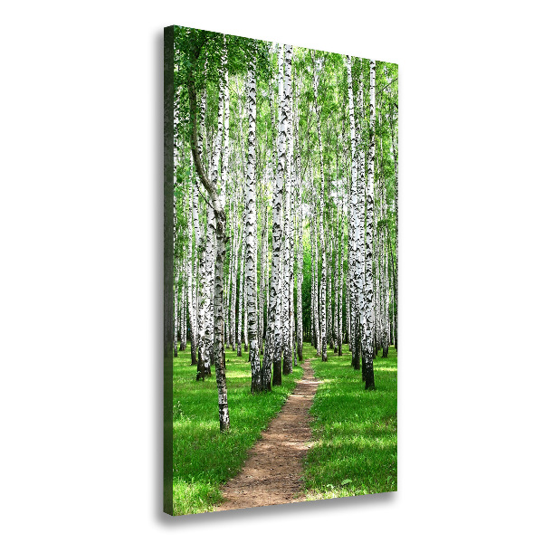 Quadro foto su tela verticale Foresta di betulle