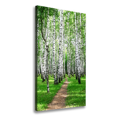 Quadro foto su tela verticale Foresta di betulle