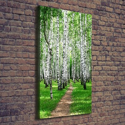 Quadro foto su tela verticale Foresta di betulle