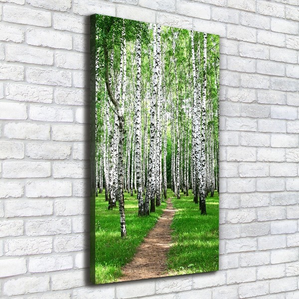 Quadro foto su tela verticale Foresta di betulle