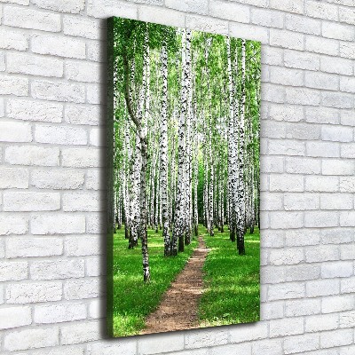 Quadro foto su tela verticale Foresta di betulle