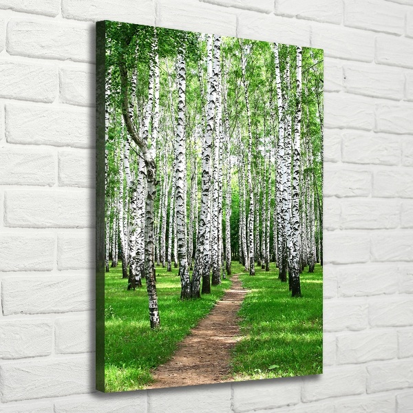 Quadro foto su tela verticale Foresta di betulle