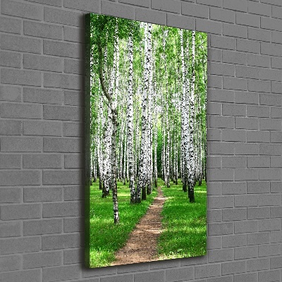 Quadro foto su tela verticale Foresta di betulle