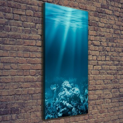 Quadro foto su tela verticale Mondo sottomarino