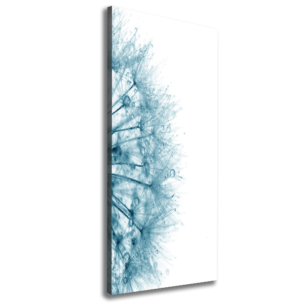 Quadro su tela canvas verticale Semi di tarassaco