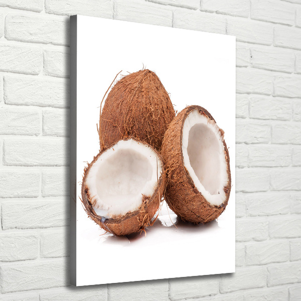 Quadro su tela canvas verticale Noce di cocco
