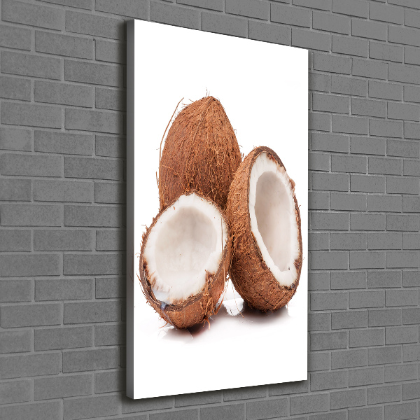 Quadro su tela canvas verticale Noce di cocco