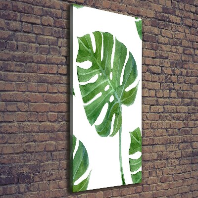 Quadro su tela canvas verticale Monstera