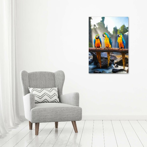 Quadro su tela canvas verticale Pappagalli ara