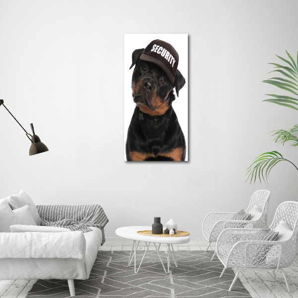 Stampa quadro su tela verticale Rottweiler con il berretto