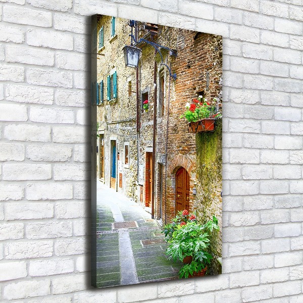 Quadro foto su tela verticale Strade italiane