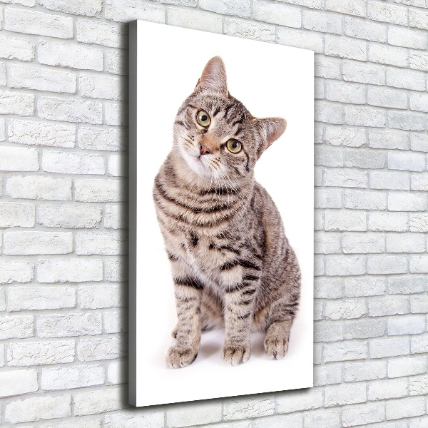 Quadro foto su tela verticale Gatto