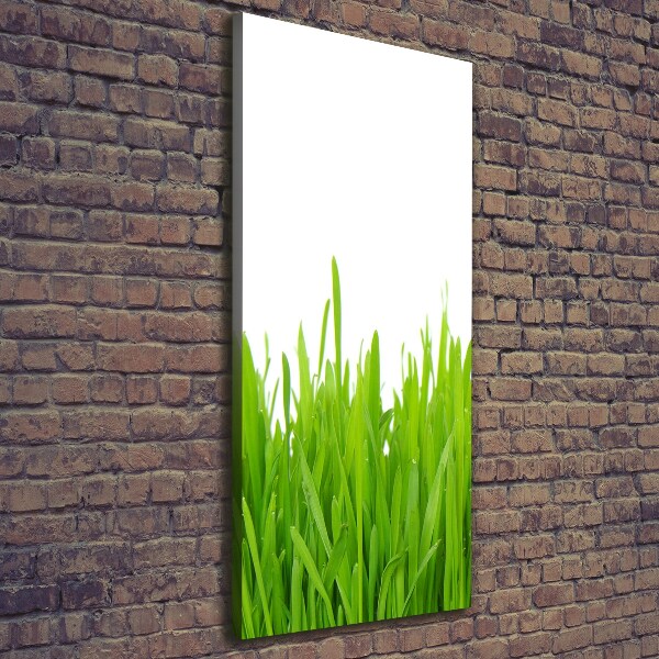 Quadro foto su tela verticale Erba verde