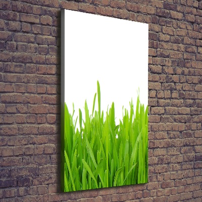 Quadro foto su tela verticale Erba verde