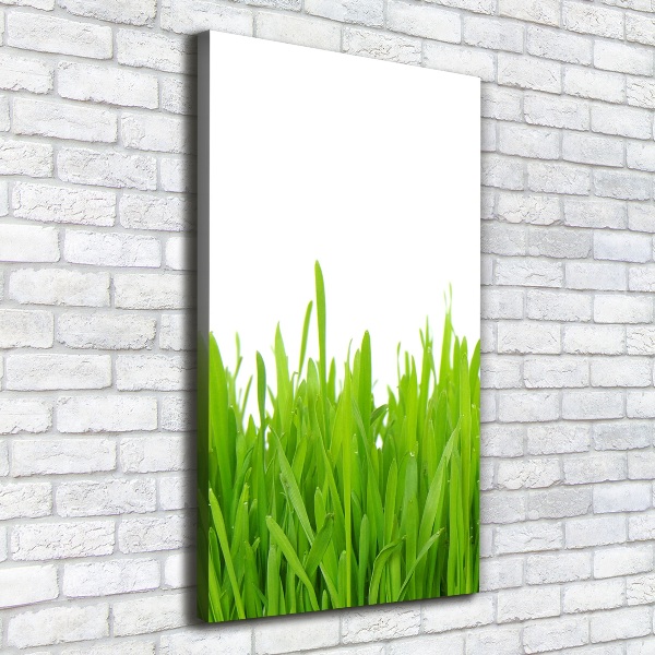 Quadro foto su tela verticale Erba verde