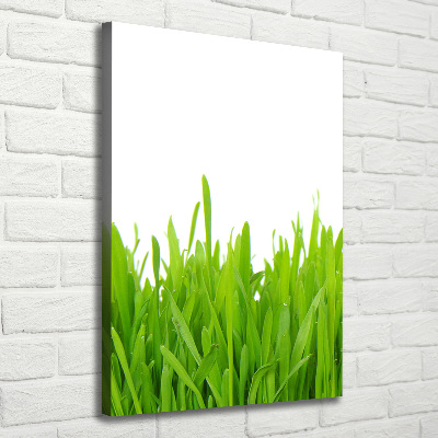 Quadro foto su tela verticale Erba verde