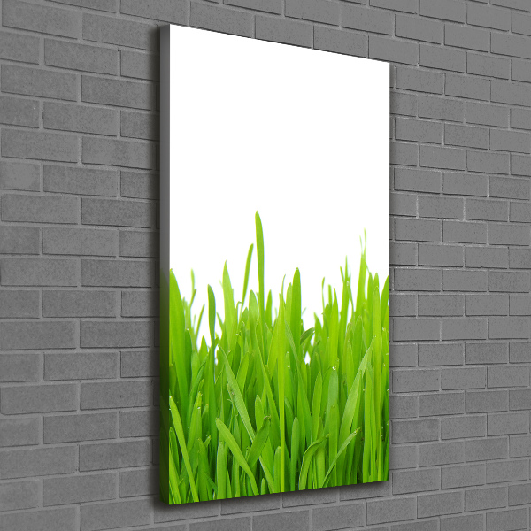 Quadro foto su tela verticale Erba verde