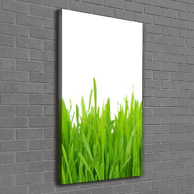Quadro foto su tela verticale Erba verde