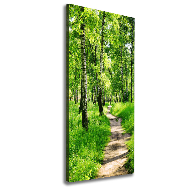 Quadro foto su tela verticale Foresta di betulle