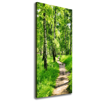 Quadro foto su tela verticale Foresta di betulle