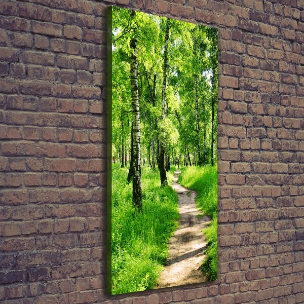 Quadro foto su tela verticale Foresta di betulle