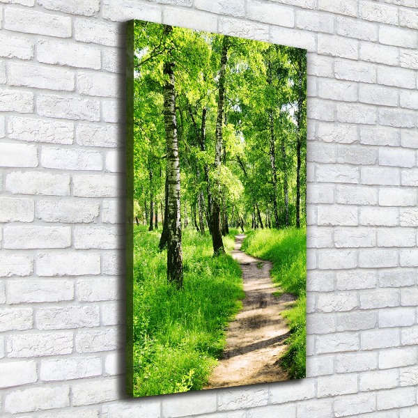 Quadro foto su tela verticale Foresta di betulle