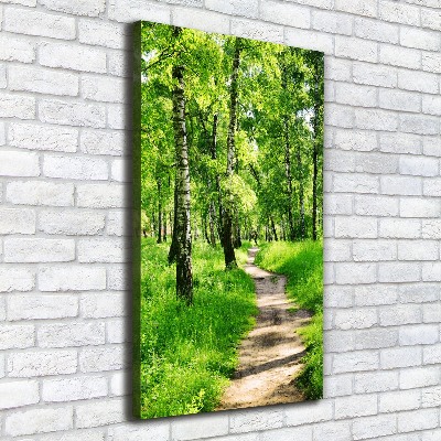 Quadro foto su tela verticale Foresta di betulle
