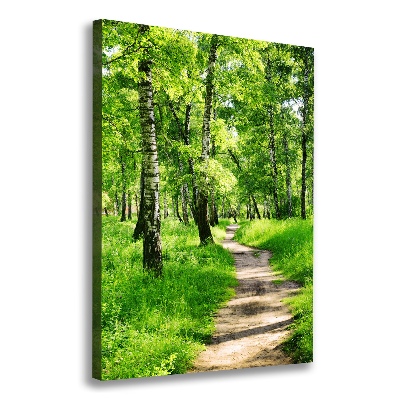 Quadro foto su tela verticale Foresta di betulle