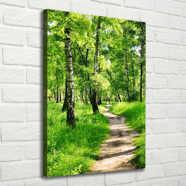 Quadro foto su tela verticale Foresta di betulle