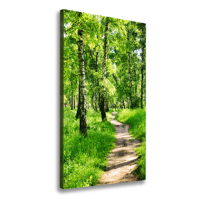 Quadro foto su tela verticale Foresta di betulle