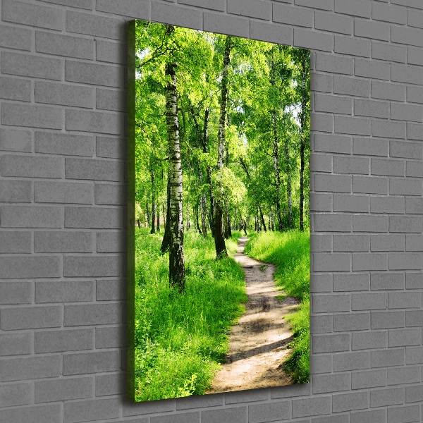 Quadro foto su tela verticale Foresta di betulle