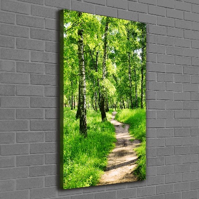 Quadro foto su tela verticale Foresta di betulle