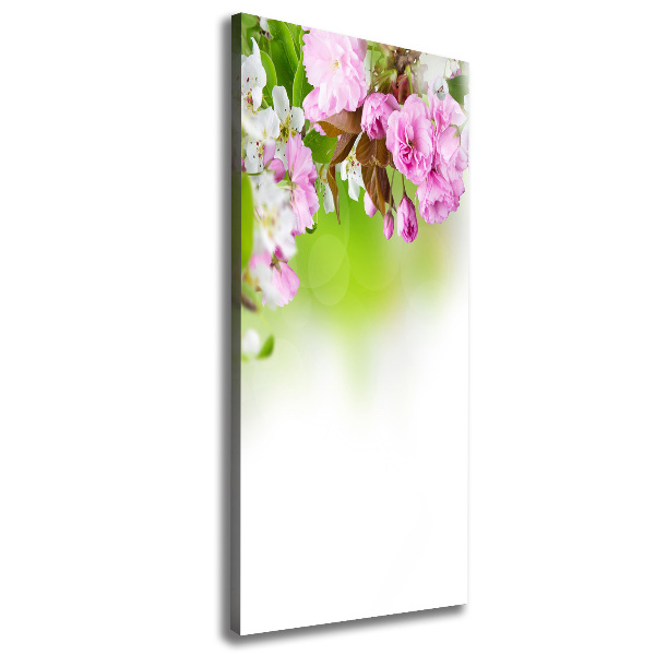 Quadro foto su tela verticale Fiori primaverili