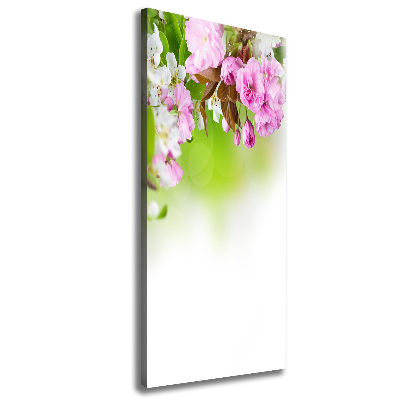 Quadro foto su tela verticale Fiori primaverili
