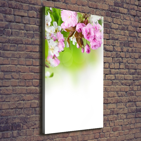 Quadro foto su tela verticale Fiori primaverili