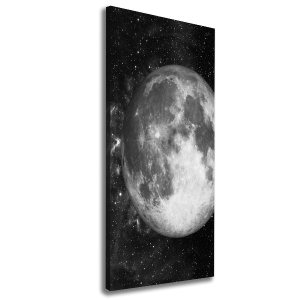 Quadro su tela canvas verticale Luna