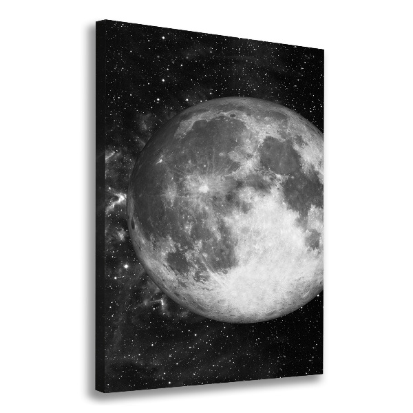 Quadro su tela canvas verticale Luna