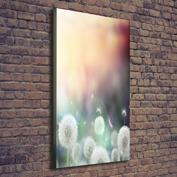 Stampa quadro su tela verticale Denti di leone