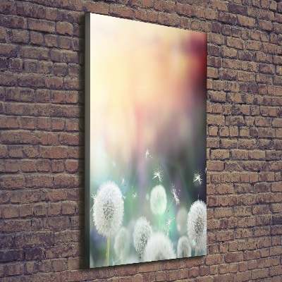 Stampa quadro su tela verticale Denti di leone