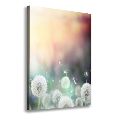 Stampa quadro su tela verticale Denti di leone