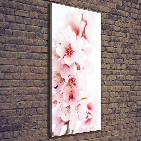 Quadro su tela canvas verticale Fiori di mandorlo