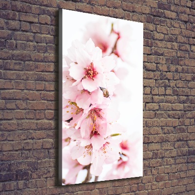 Quadro su tela canvas verticale Fiori di mandorlo