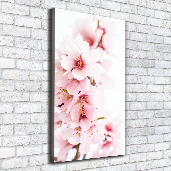 Quadro su tela canvas verticale Fiori di mandorlo