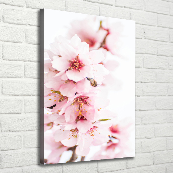 Quadro su tela canvas verticale Fiori di mandorlo