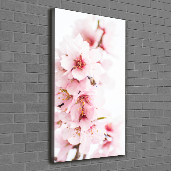 Quadro su tela canvas verticale Fiori di mandorlo