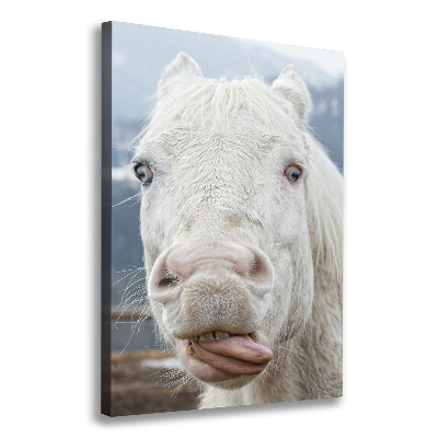 Stampa quadro su tela verticale Cavallo Bianco Pazzo