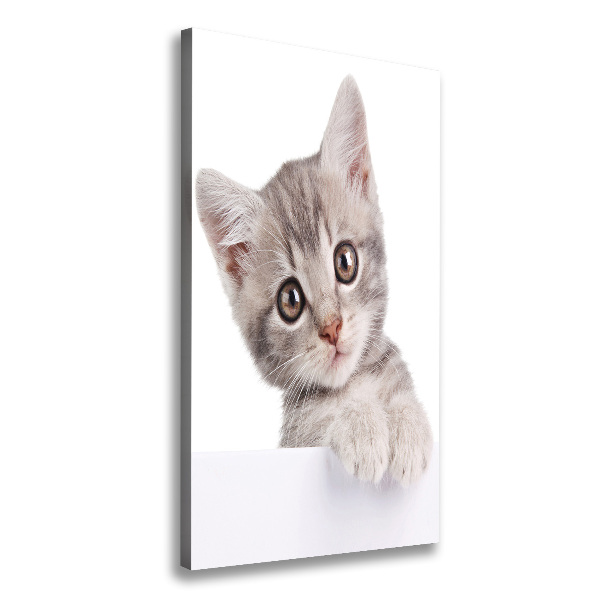 Quadro su tela canvas verticale Gatto grigio