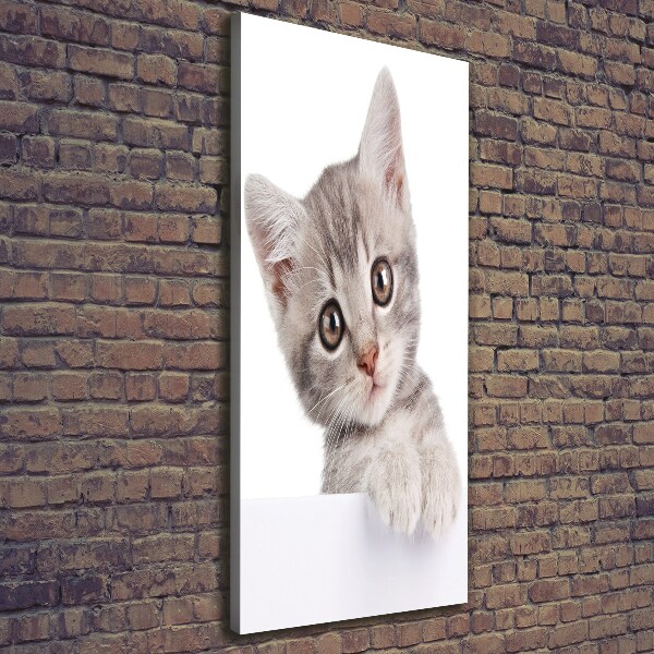 Quadro su tela canvas verticale Gatto grigio